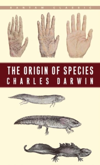 Charles Darwin - Origin of Species, E-bok