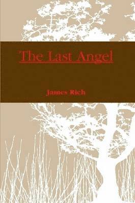 James Rich - Last Angel, Häftad. Tillgänglighet: Lägg i varukorg