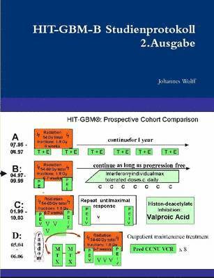 Johannes Wolff - HIT-GBM-B Studienprotokoll 2.Ausgabe, Häftad. Tillgänglighet: Lägg i varukorg