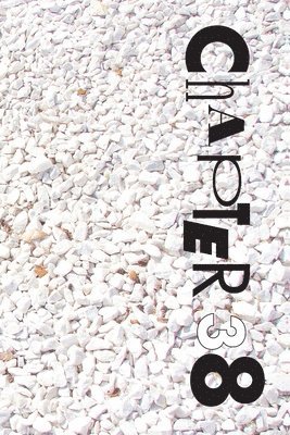 Janet Kuypers - Chapter 38 (volume 1), Häftad
