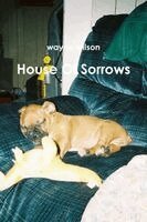Wayne Wilson - House Of Sorrows, Häftad. Tillgänglighet: Lägg i varukorg