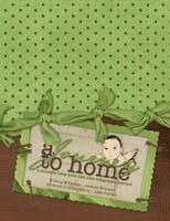 Jessica Williams - Journey to Home, A Preemie Baby Book and NICU Journal, Häftad