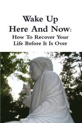 Thay Thich Thong Tri, Martin Avery - Wake Up Here And Now, Häftad