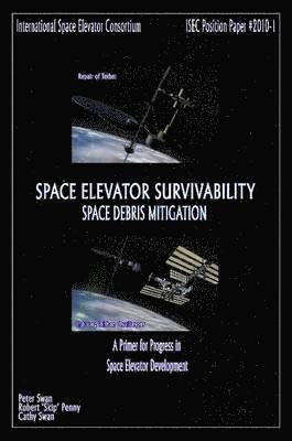 Space Elevator Survivability Space Debris Mitigation