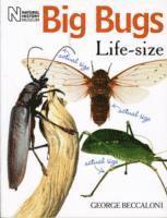 George Beccaloni - Big Bugs Life-Size, Häftad. Tillgänglighet: Tillfälligt slut