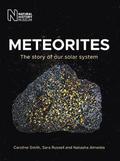Meteorites