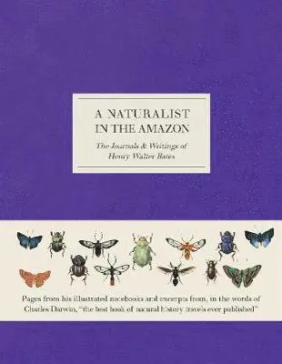 Naturalist in the Amazon