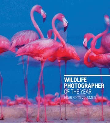 Rosamund Kidman Cox, Rosamund Kidman Cox - Wildlife Photographer of the Year: Highlights Volume 5, Häftad