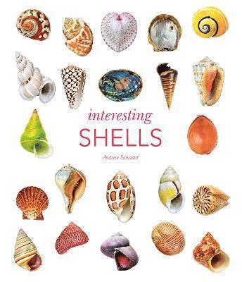 Andreia Salvador - Interesting Shells, Inbunden