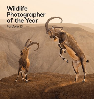 Roz Kidman Cox - Wildlife Photographer of the Year: Portfolio 33, Inbunden
