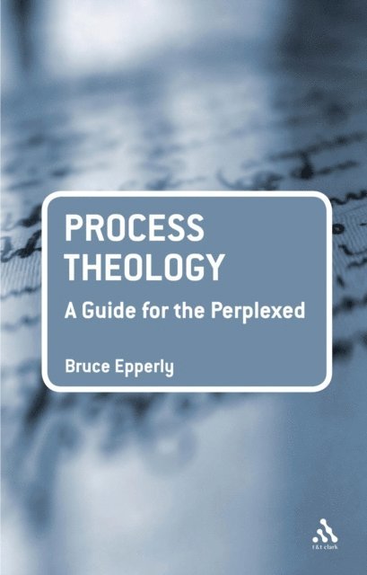 Bruce G. Epperly - Process Theology: A Guide for the Perplexed, E-bok