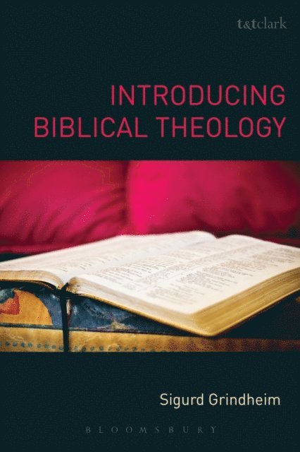 Sigurd Grindheim - Introducing Biblical Theology, E-bok. Tillgänglighet: Lägg i varukorg