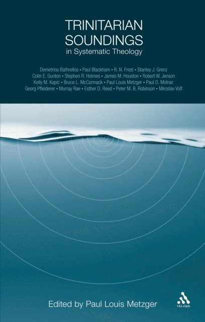 Paul Louis Metzger - Trinitarian Soundings in Systematic Theology, E-bok