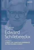 The Collected Works of Edward Schillebeeckx Volume 7