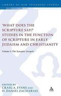 What Does the Scripture Say?' Studies in the Function of Scripture in Early Judaism and Christianity