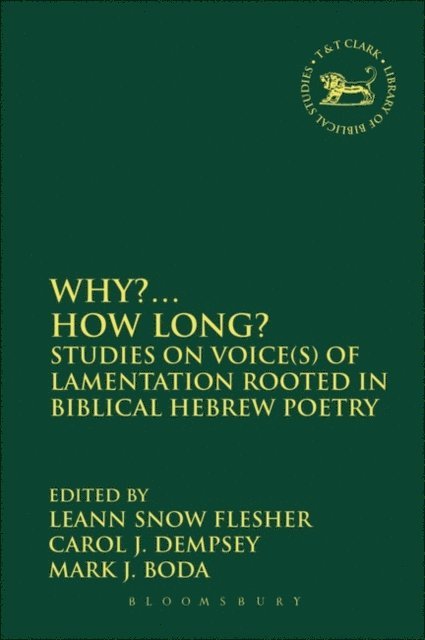 LeAnn Snow Flesher, Carol J. Dempsey OP, Mark J. Boda - Why?... How Long?, E-bok