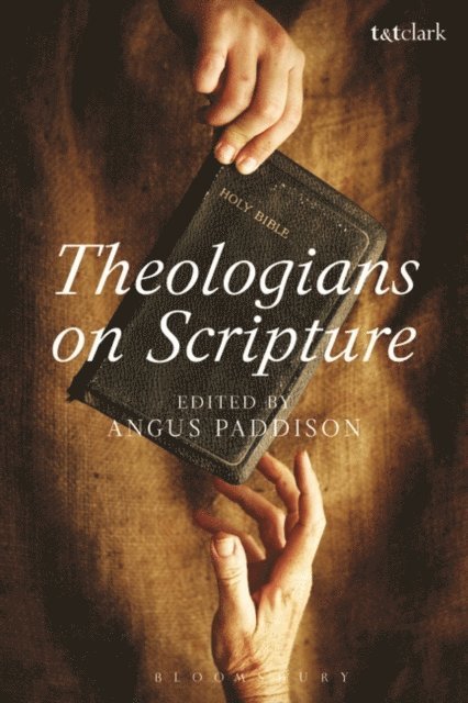Angus Paddison - Theologians on Scripture, E-bok