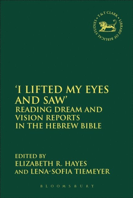 Elizabeth R. Hayes, Lena-Sofia Tiemeyer - I Lifted My Eyes and Saw', E-bok