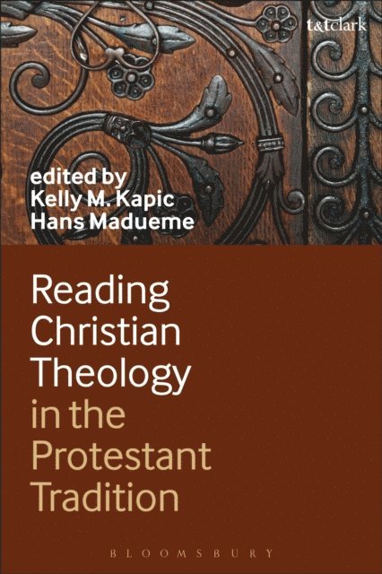 Kelly Kapic, Hans Madueme - Reading Christian Theology in the Protestant Tradition, E-bok