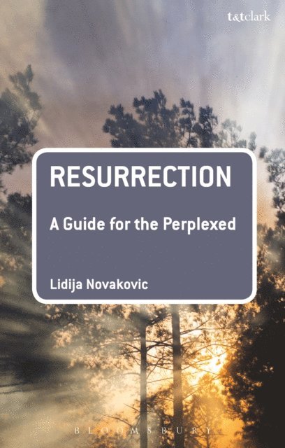Lidija Novakovic - Resurrection: A Guide for the Perplexed, E-bok