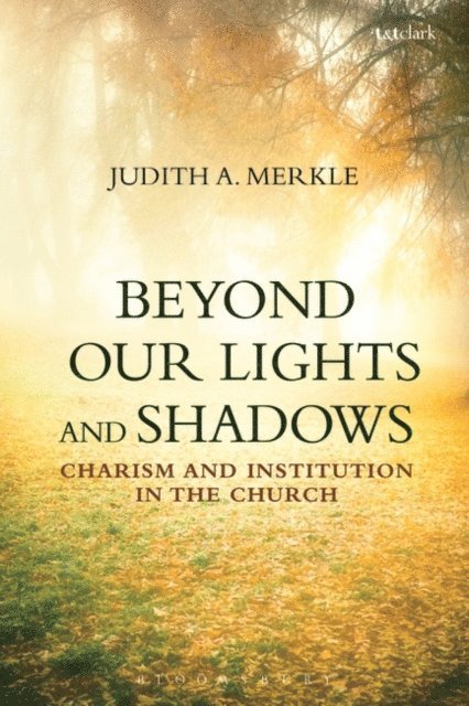 Judith A. Merkle - Beyond Our Lights and Shadows, E-bok