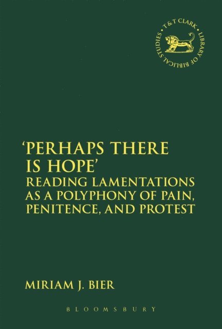 Miriam J. Bier - Perhaps there is Hope', E-bok