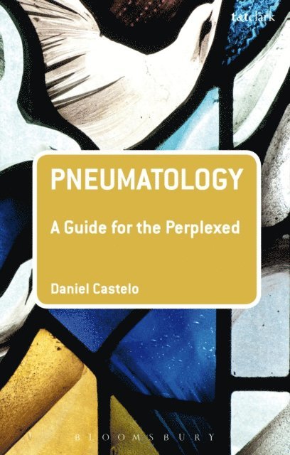 Daniel Castelo - Pneumatology: A Guide for the Perplexed, E-bok