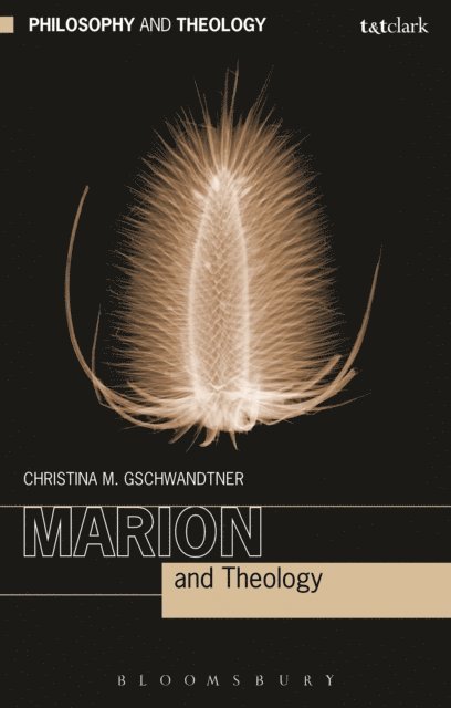 Christina M. Gschwandtner - Marion and Theology, E-bok