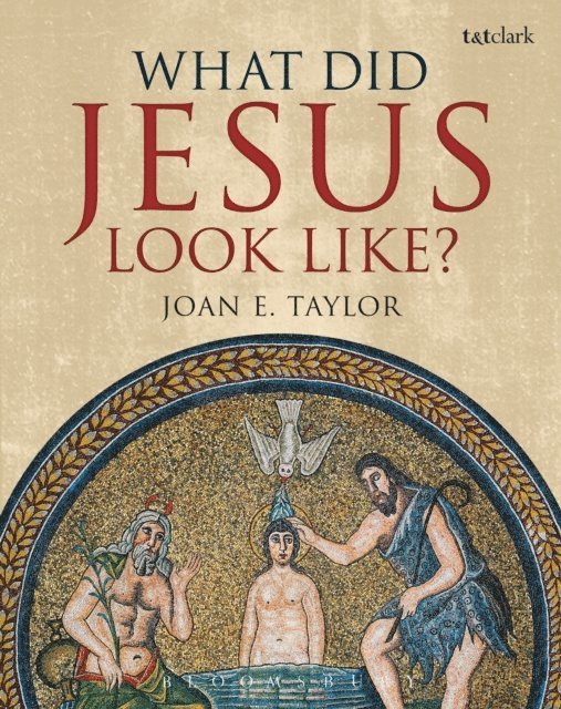 Joan E. Taylor - What Did Jesus Look Like?, E-bok