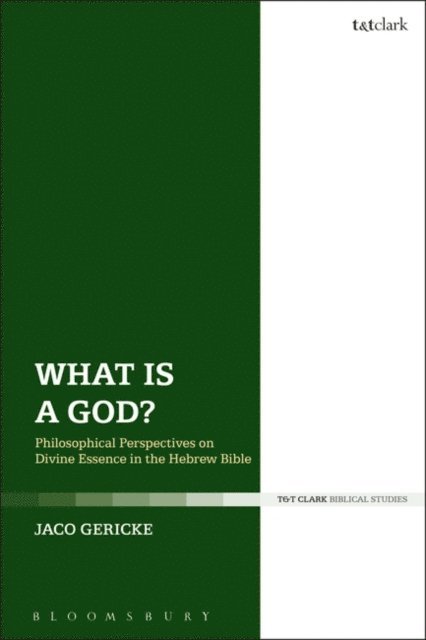 Jaco Gericke - What is a God?, E-bok