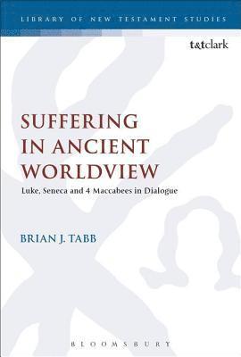 Brian J. Tabb - Suffering in Ancient Worldview, E-bok