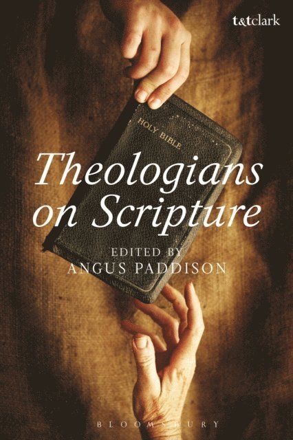 Angus Paddison - Theologians on Scripture, E-bok