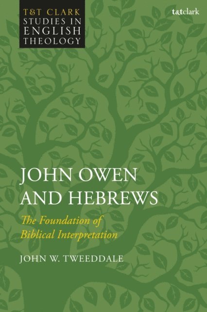 John W. Tweeddale - John Owen and Hebrews, E-bok