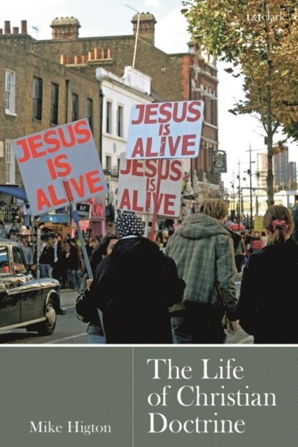 Mike Higton - Life of Christian Doctrine, E-bok