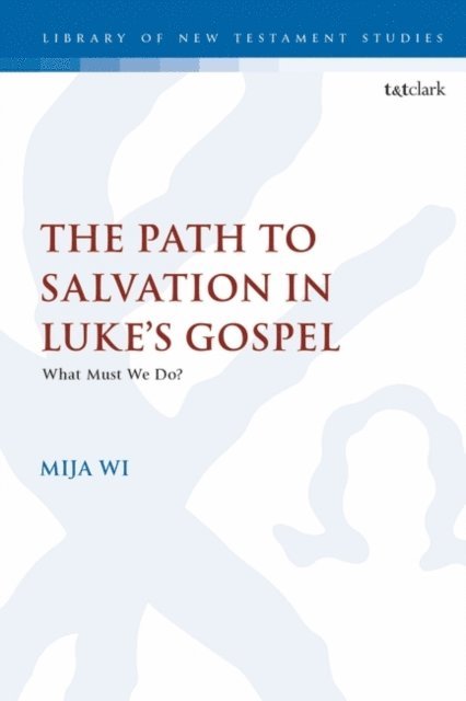 MiJa Wi - Path to Salvation in Luke's Gospel, E-bok