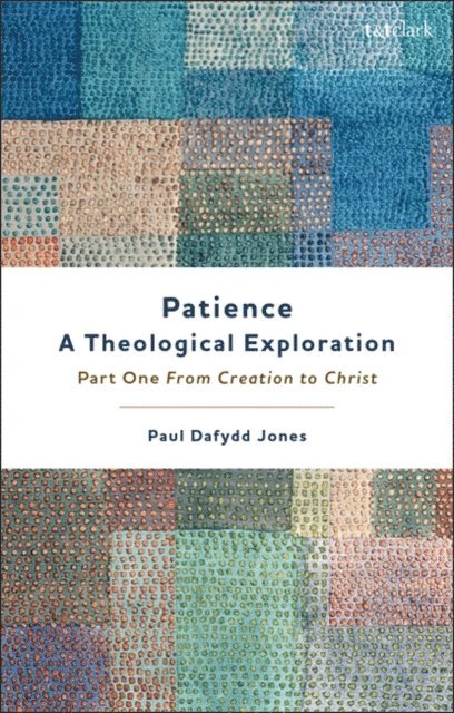 Paul Dafydd Jones - Patience—A Theological Exploration, E-bok