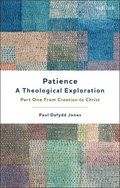 Patience A Theological Exploration