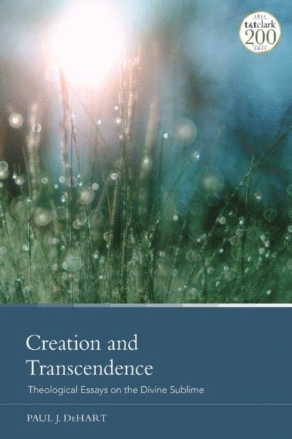 Paul J. DeHart - Creation and Transcendence, E-bok