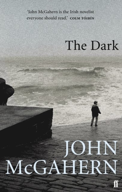 John McGahern - Dark, E-bok