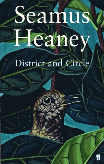 Seamus Heaney - District and Circle, E-bok
