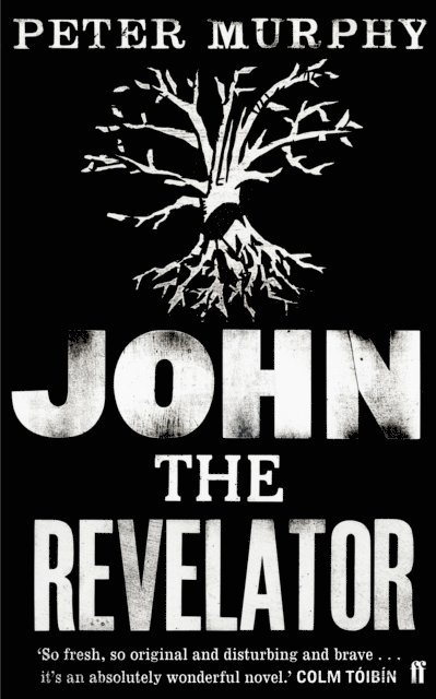 Peter Murphy - John the Revelator, E-bok