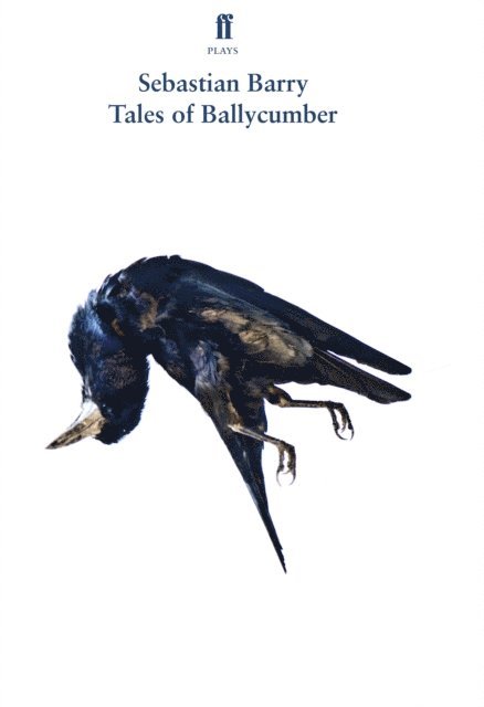 Sebastian Barry - Tales of Ballycumber, E-bok