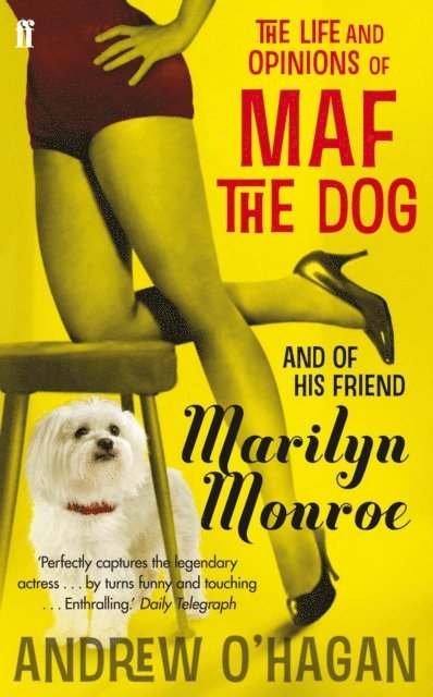Andrew O'Hagan - Life and Opinions of Maf the Dog, and of his friend Marilyn Monroe, E-bok