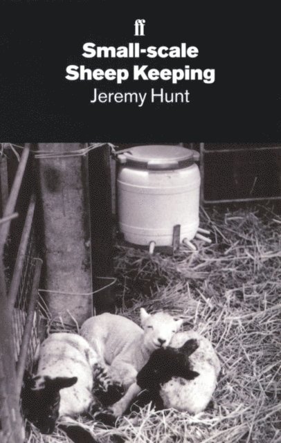Jeremy Hunt - Small-Scale Sheep Keeping, E-bok