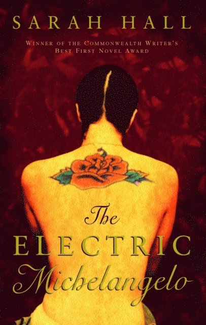 Sarah Hall - Electric Michelangelo, E-bok