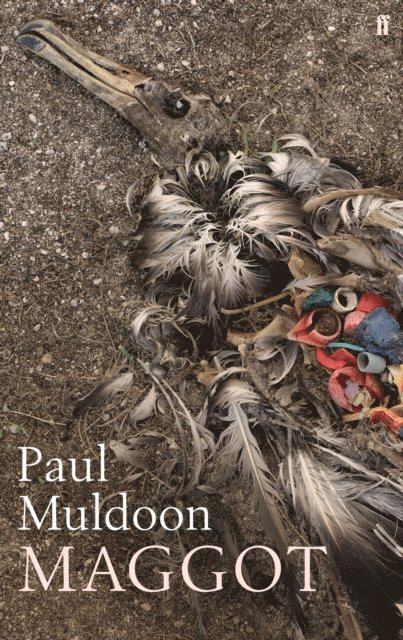 Paul Muldoon - Maggot, E-bok
