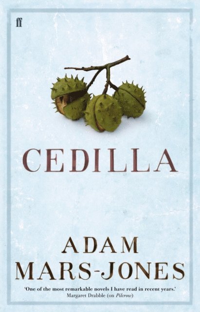 Adam Mars-Jones - Cedilla, E-bok