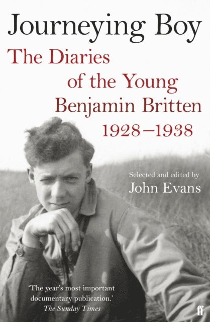 John Evans - Journeying Boy, E-bok