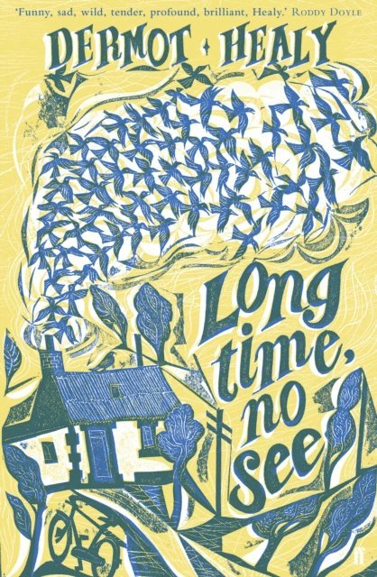 Dermot Healy - Long Time, No See, E-bok