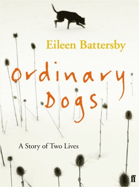 Eileen Battersby - Ordinary Dogs, E-bok